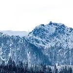 Golden - Taternik 3* Zakopane
