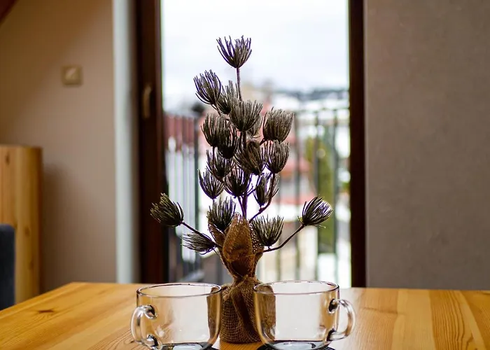 Taternik By Golden 3* 자코파네